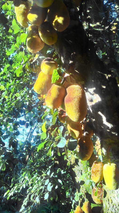 Chalé Rancho Aratama Jacareí Esterno foto