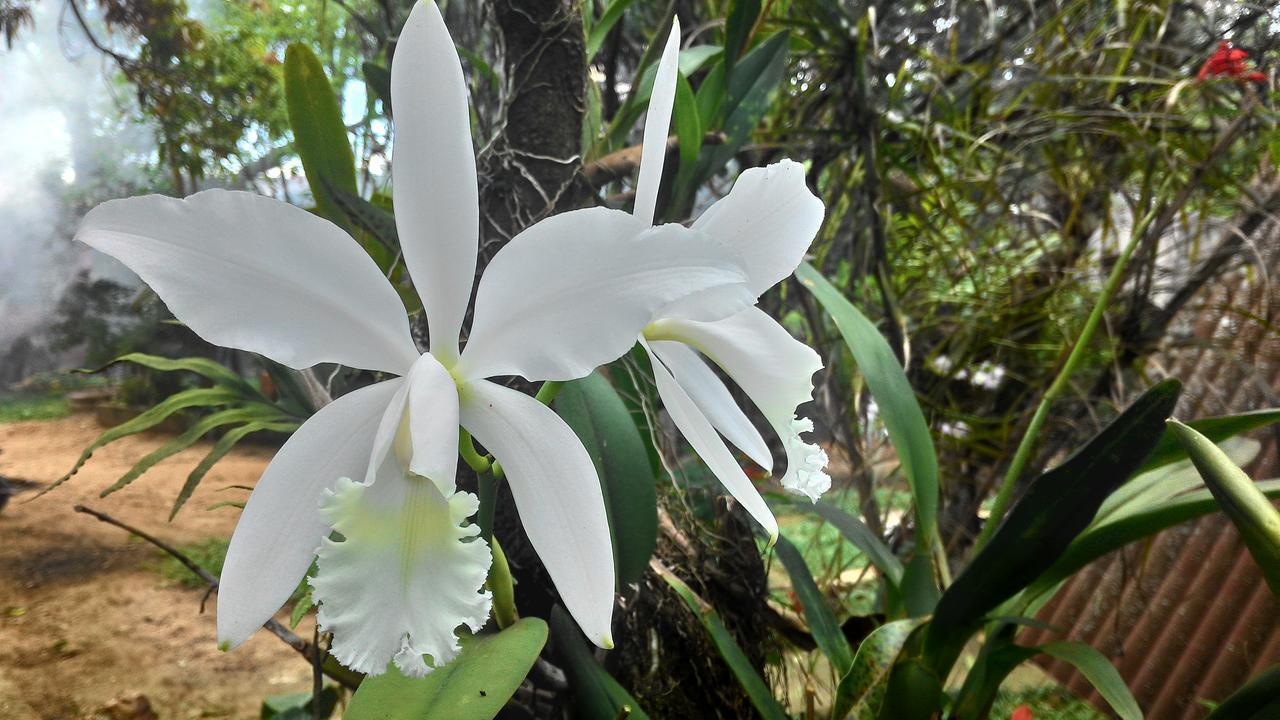 Chalé Rancho Aratama Jacareí Esterno foto