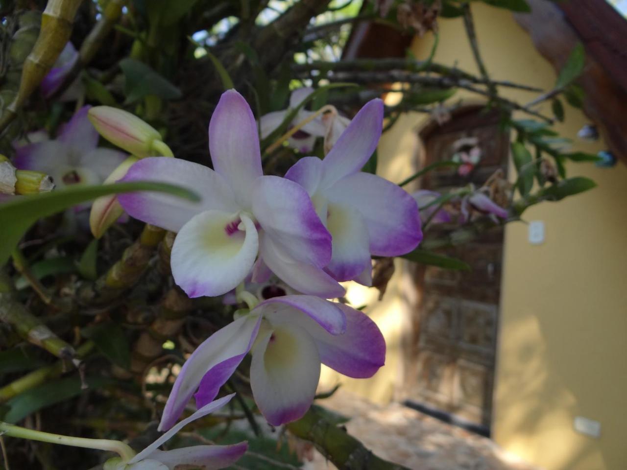 Chalé Rancho Aratama Jacareí Esterno foto